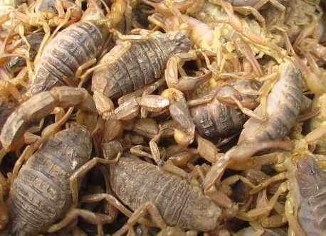 合肥小區(qū)開荒保潔要注意哪些事項(xiàng)呢?